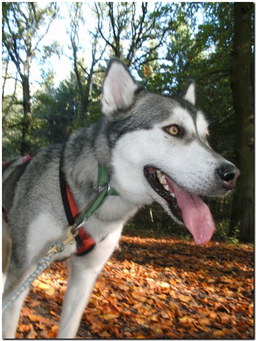 Tour Odenwald 099.jpg